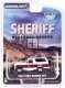 Ford Bronco (1994) - Absaroka County Sheriff