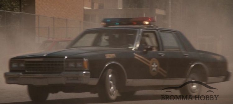 Chevrolet Caprice (1981) - Navajo County Sheriff - Click Image to Close